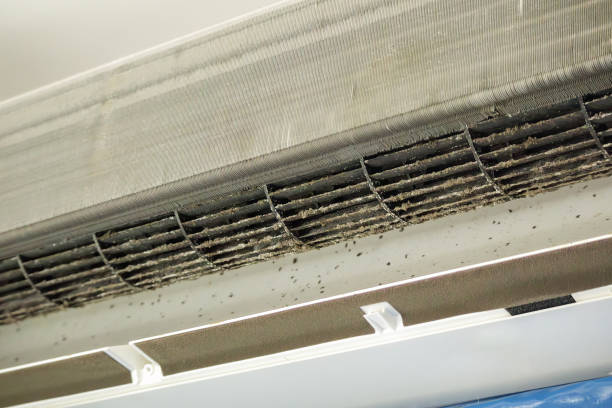 Best Air Duct Cleaning Company Near Me  in Valley View, PA